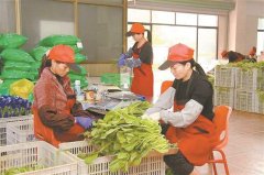 扫码就能看到农产